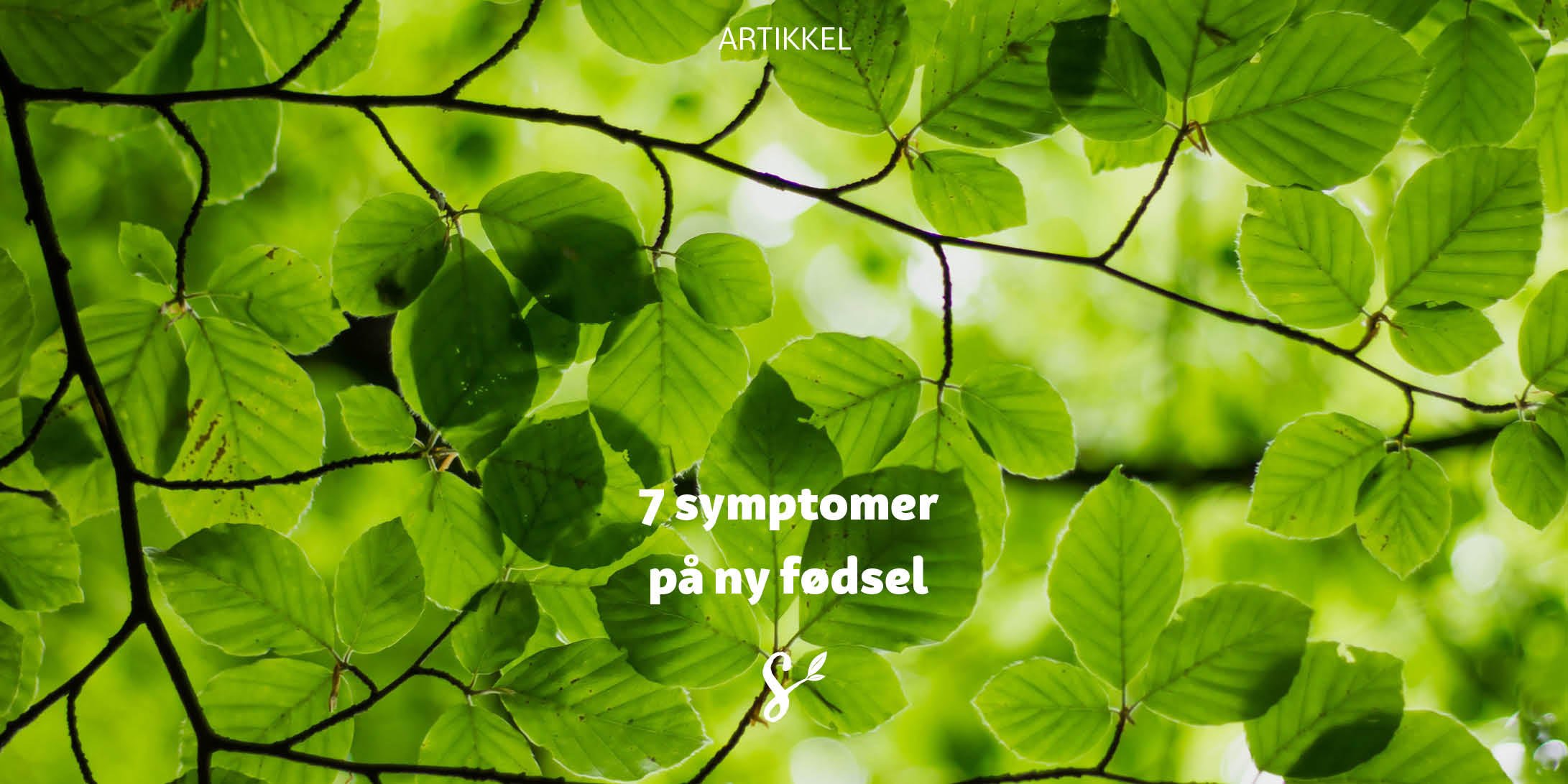 7 symptomer - tittelbilde