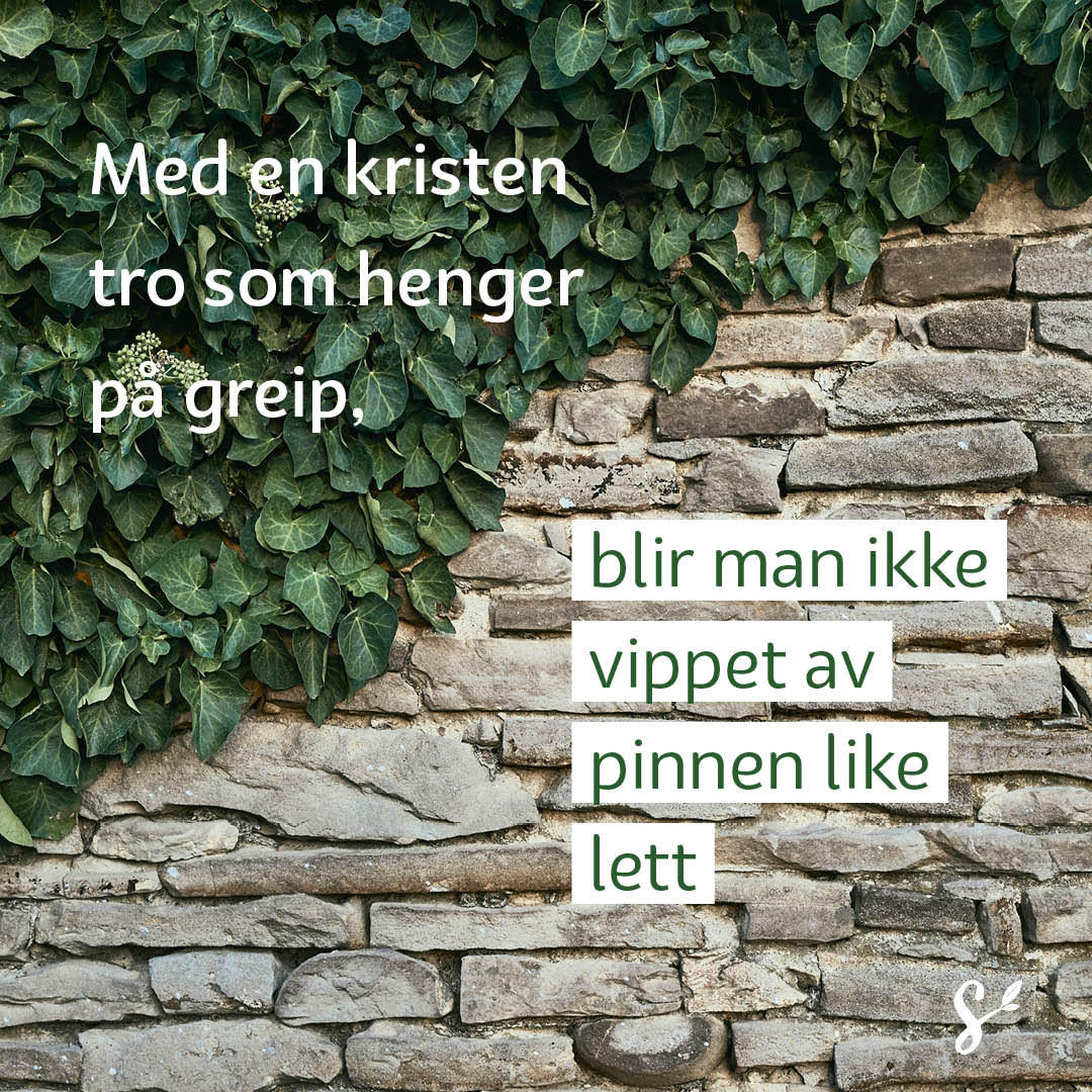 I den sekulære løvehulen - sitatbilde2
