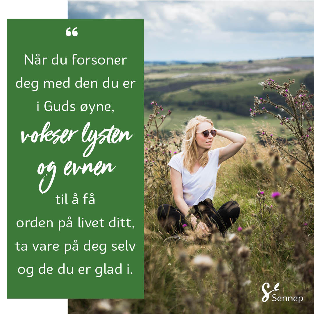 Introtekst omvendelse - sitatbilde
