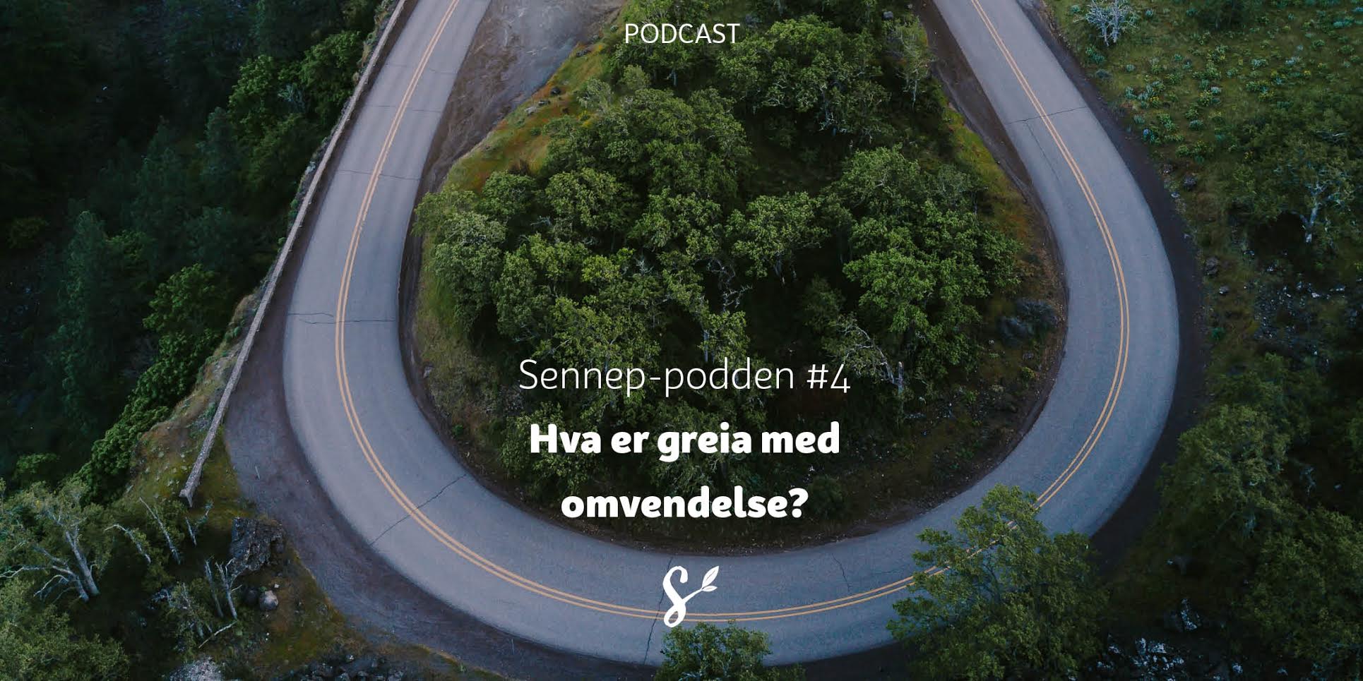 Senneppodden 4 omvendelse - tittelbilde