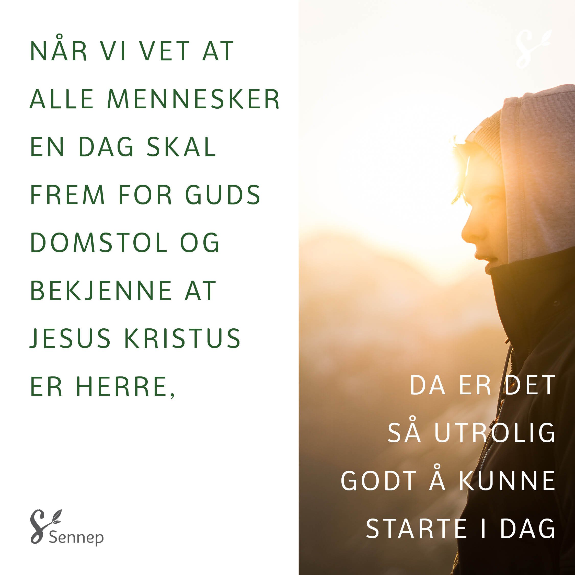 sitat-aktor-artikkel2