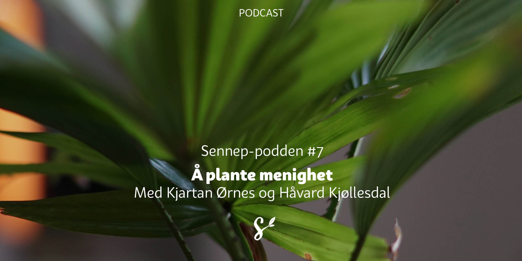 Å plante menighet
