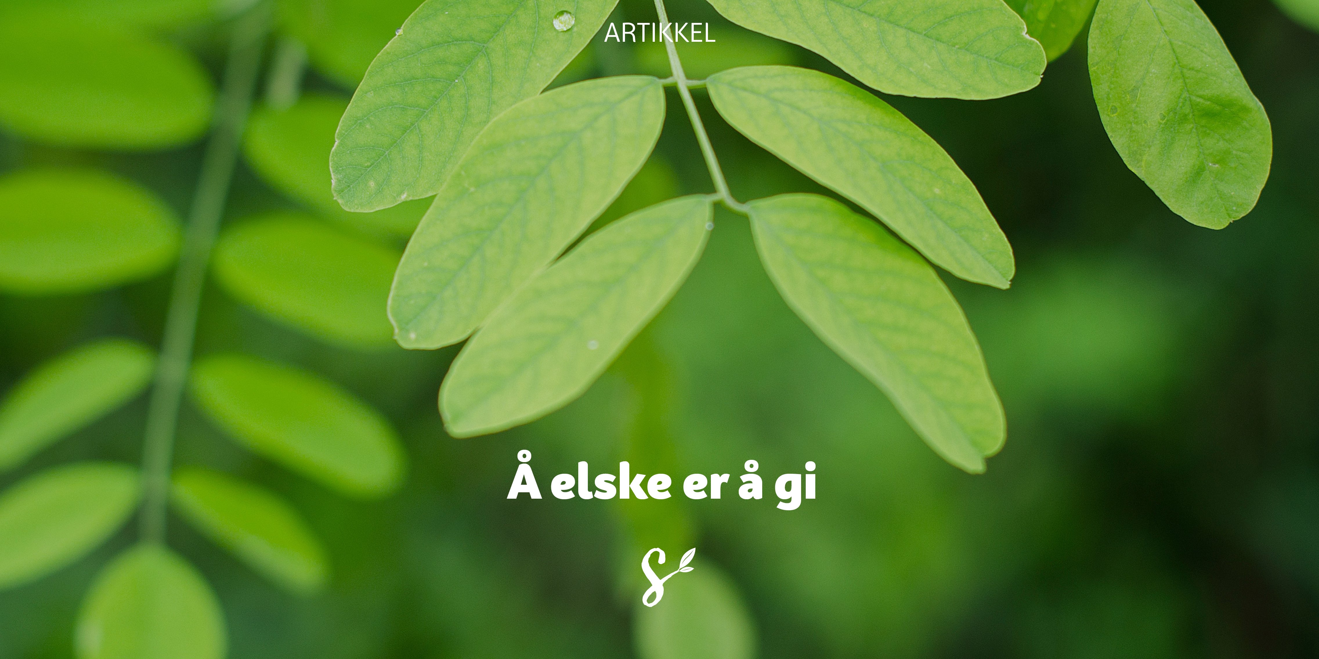 å elske er å gi - tittelbilde