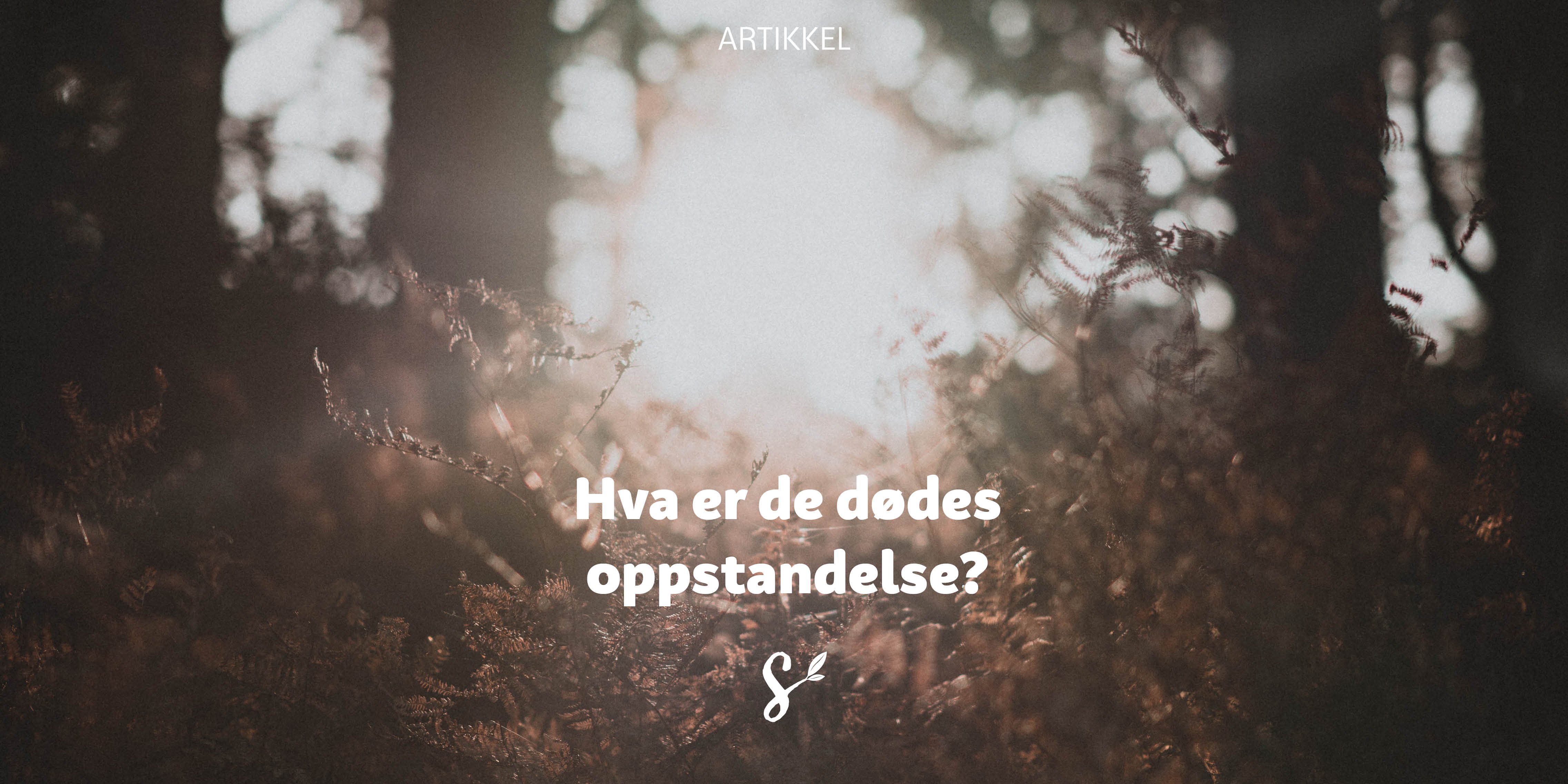 Hva er de dødes oppstandelse?