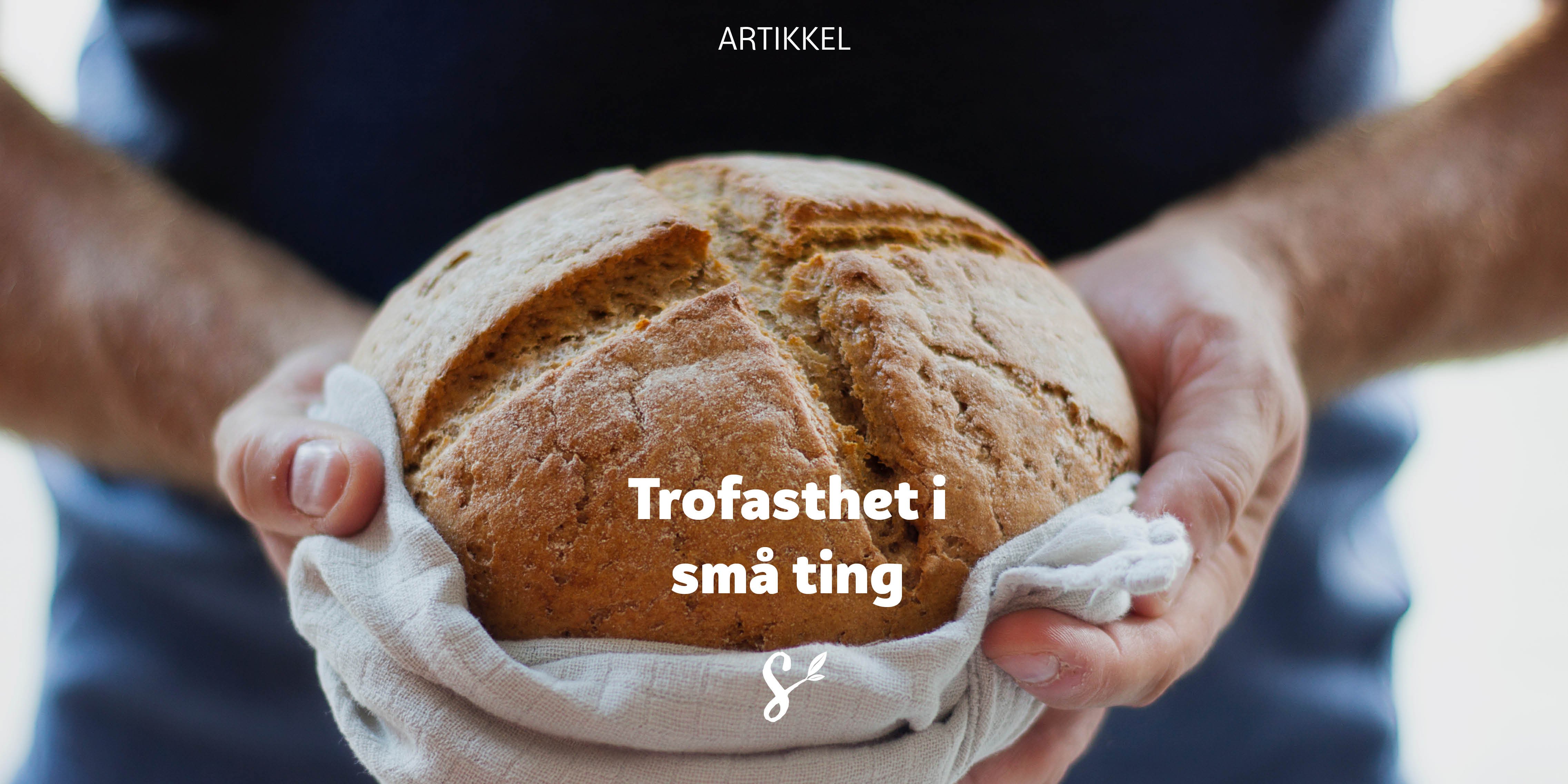 Trofasthet i små ting - tittelbilde