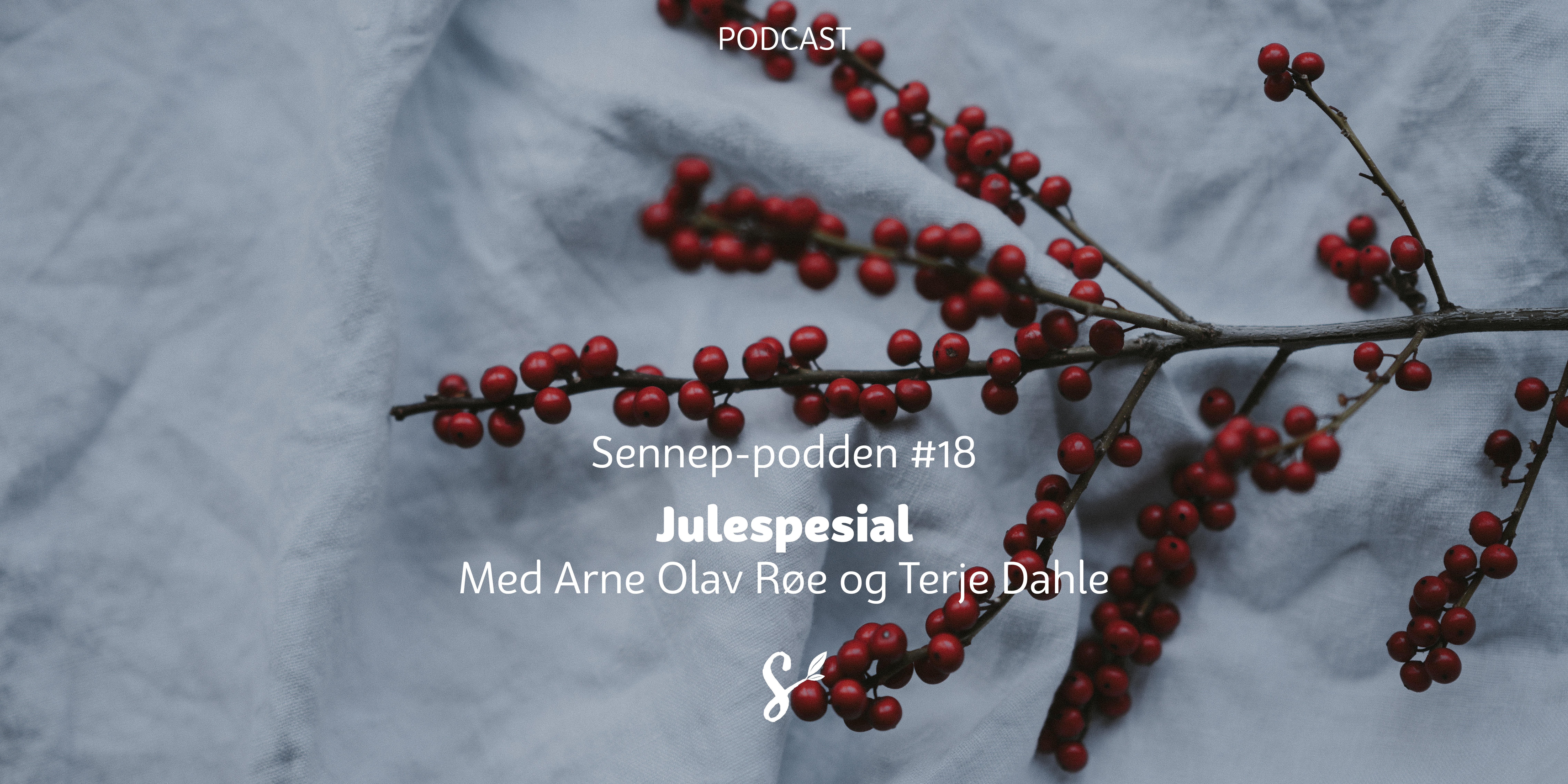 Julespesial - tittelbilde