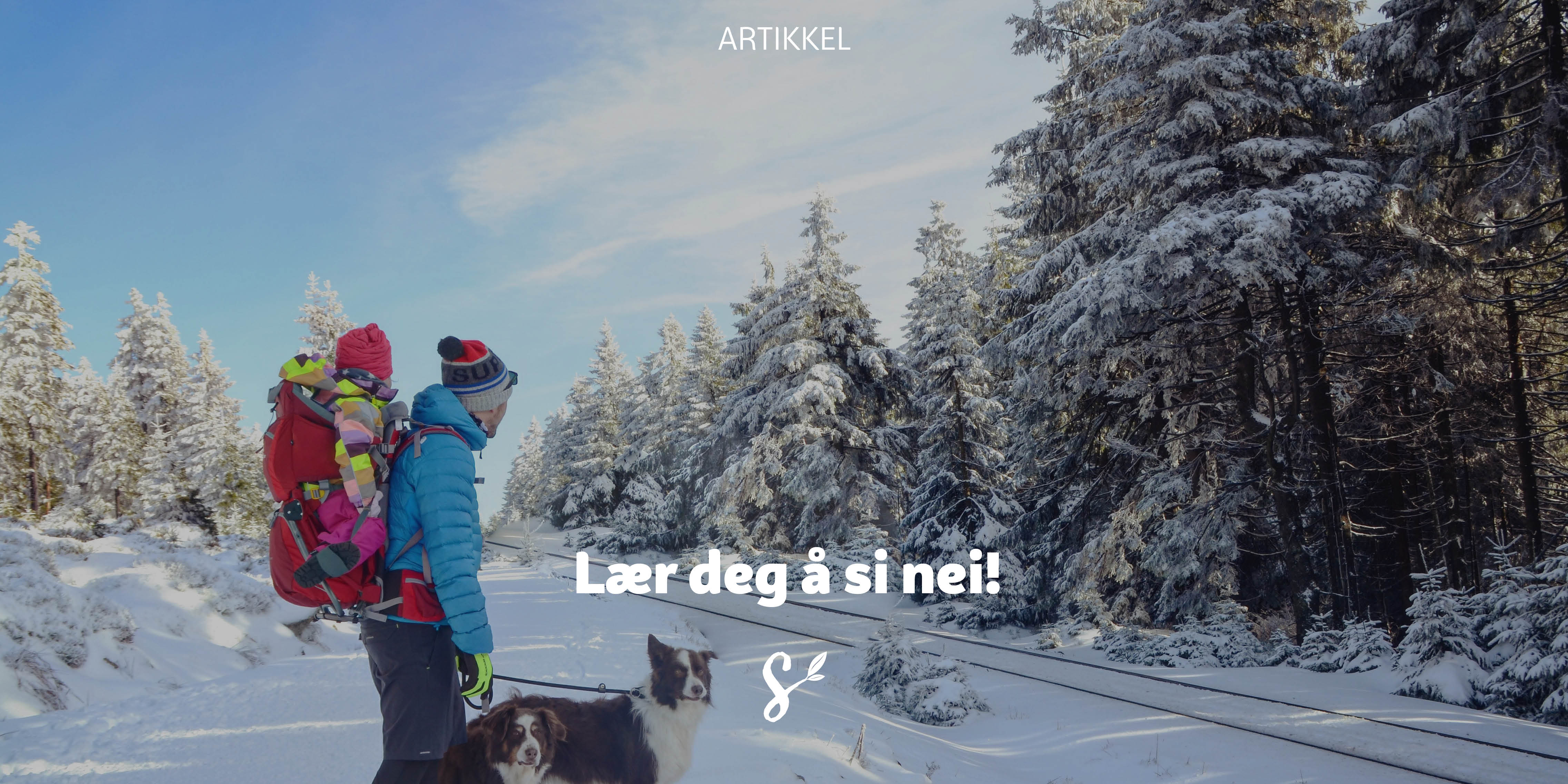 lær deg å si nei - tittelbilde