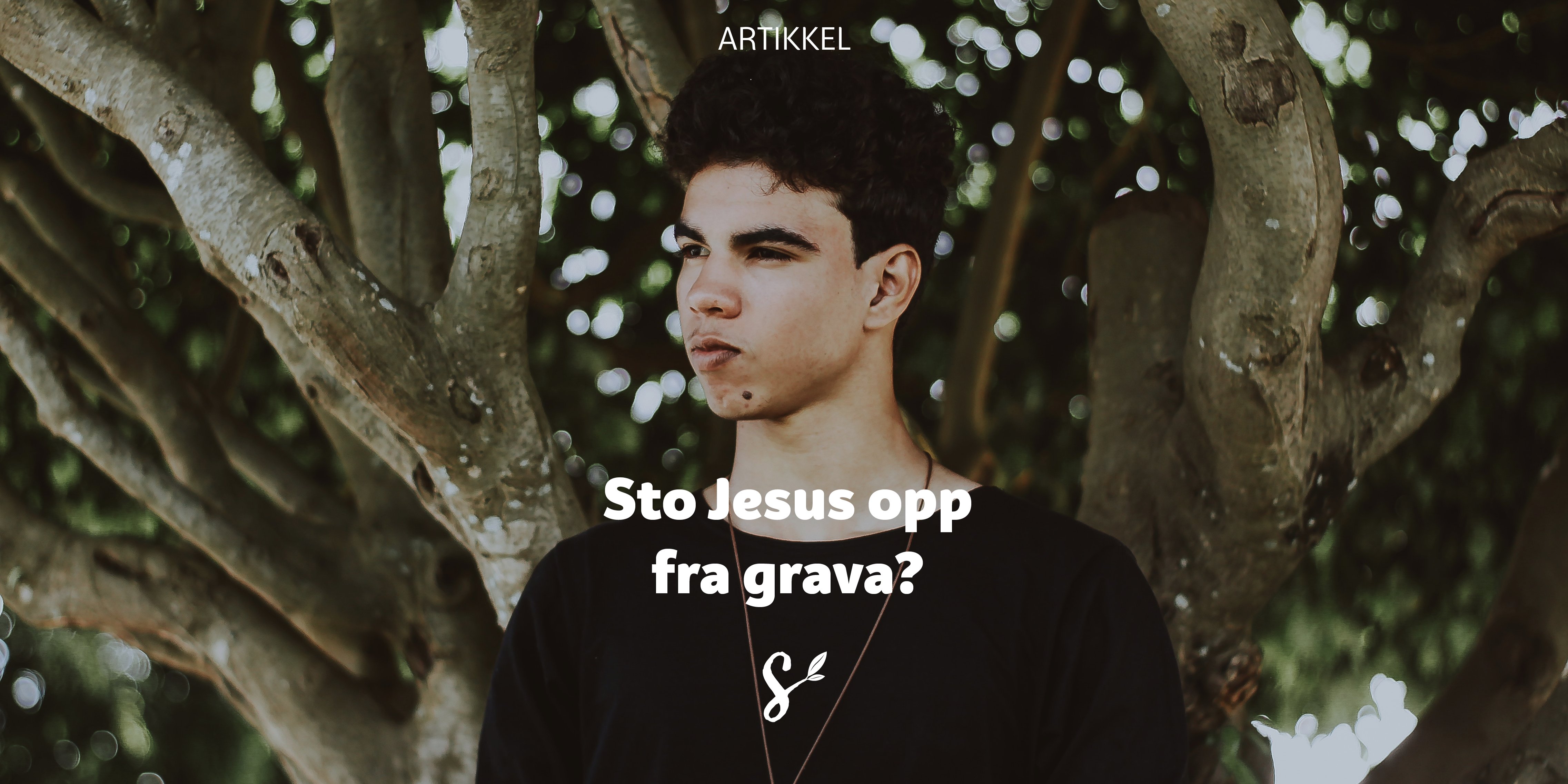 Sto Jesus opp fra grava - tittelbilde