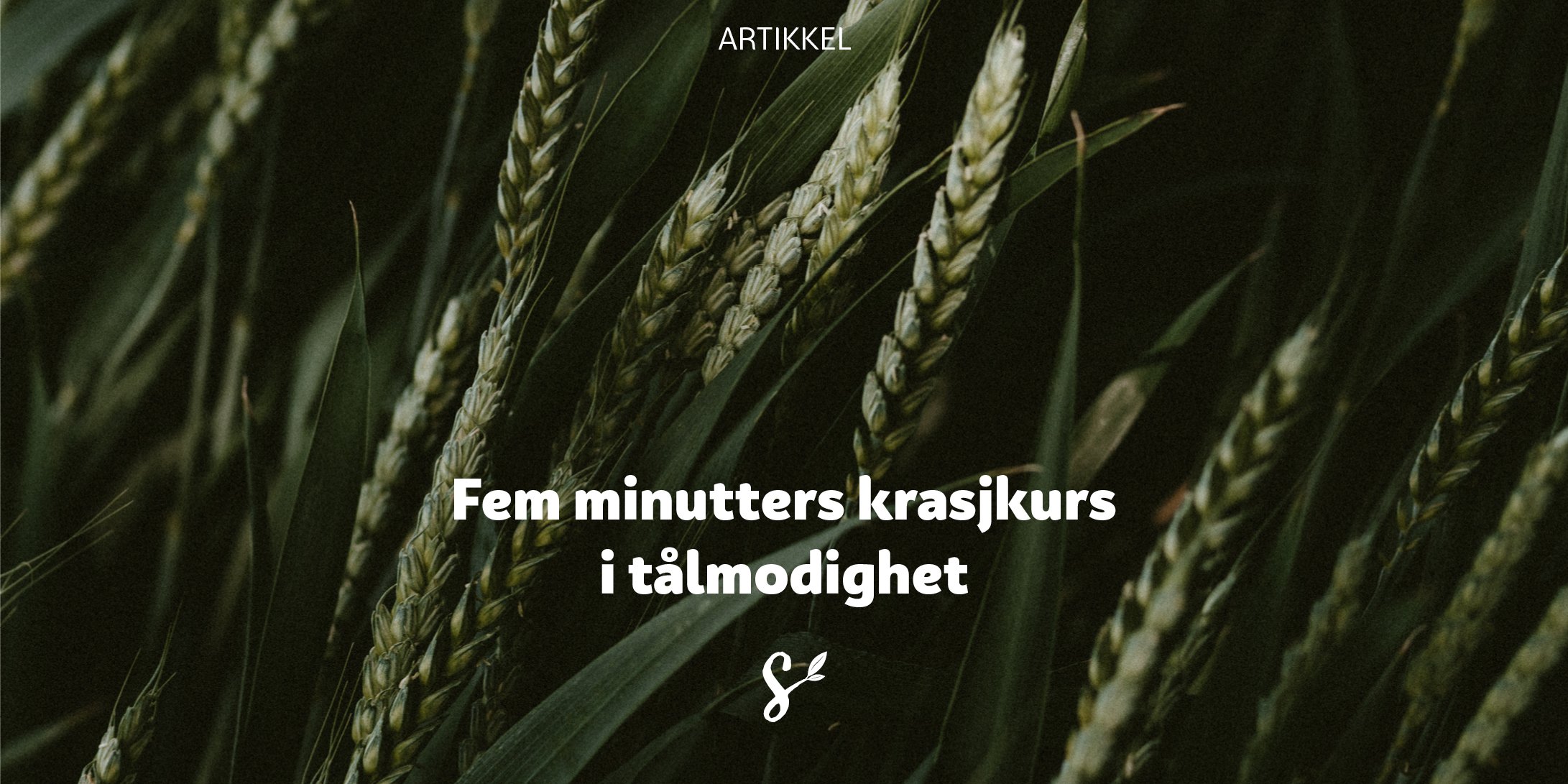 fem minutters krasjkurs - tittelbilde