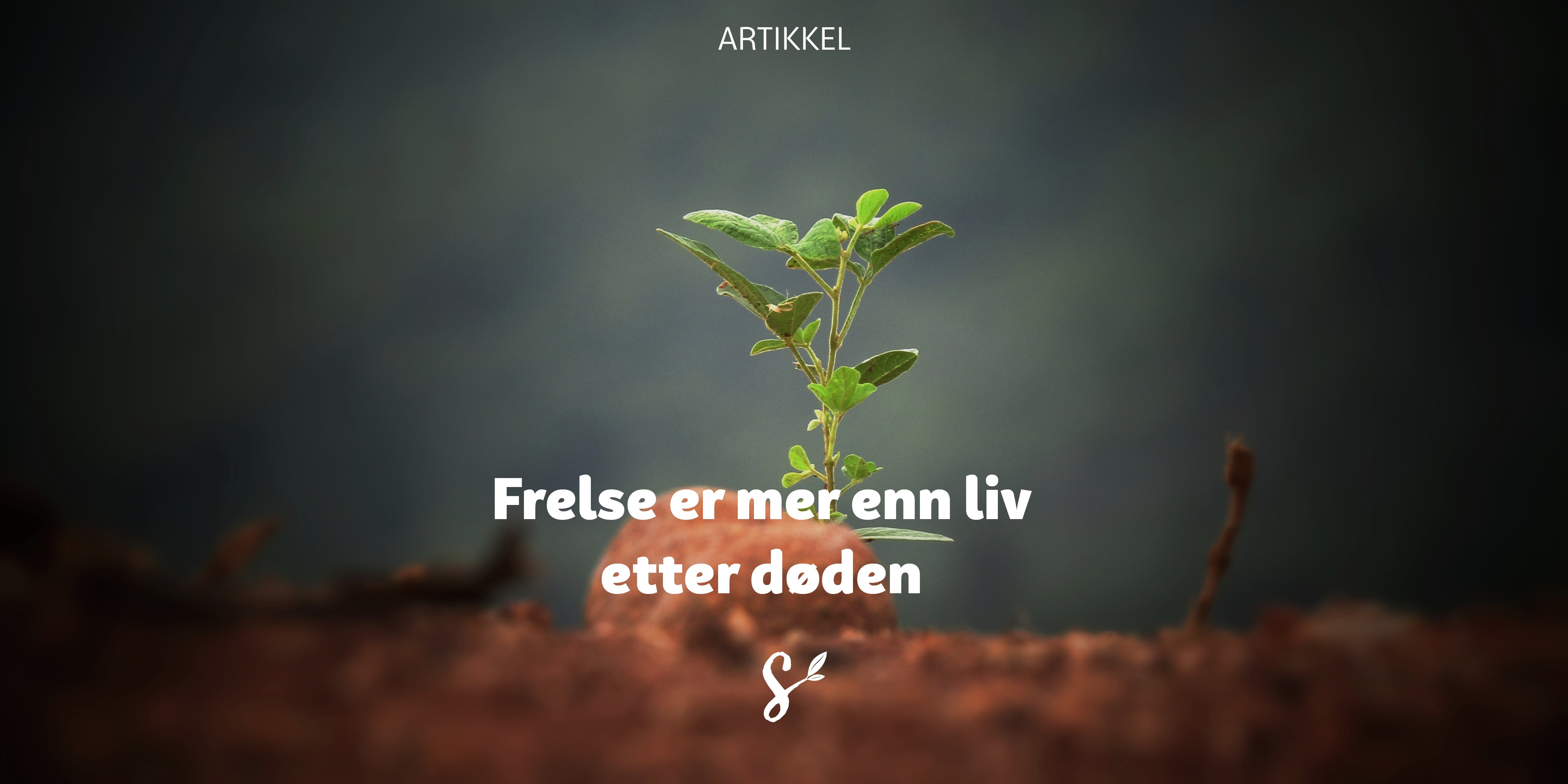 frelse er mer enn liv etter døden - tittelbilde