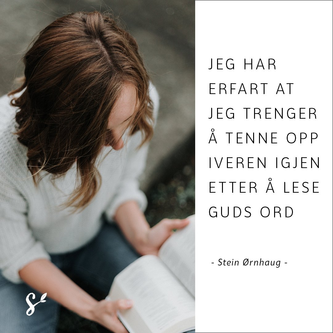 slik vinner du kampen - sitatbilde