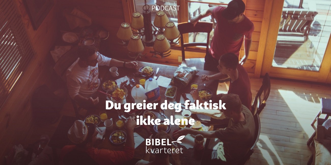 du greier deg faktisk ikke alene - tittelbilde