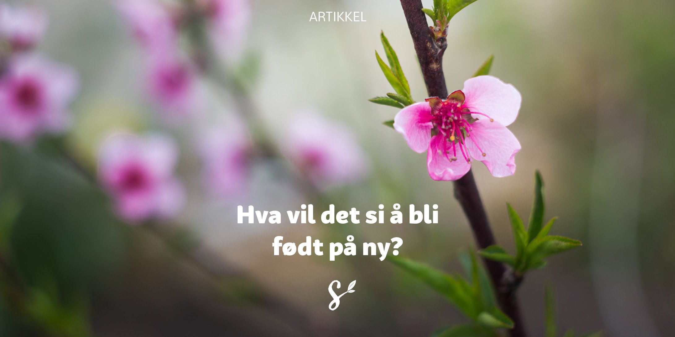 fodt på ny del 1 - tittelbilde
