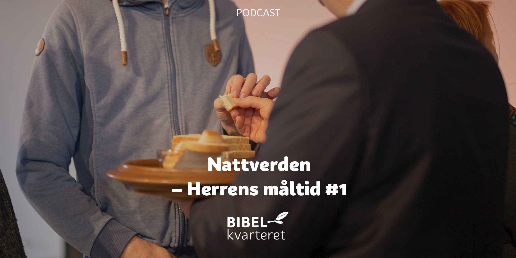 nattverden 1- tittelbilde