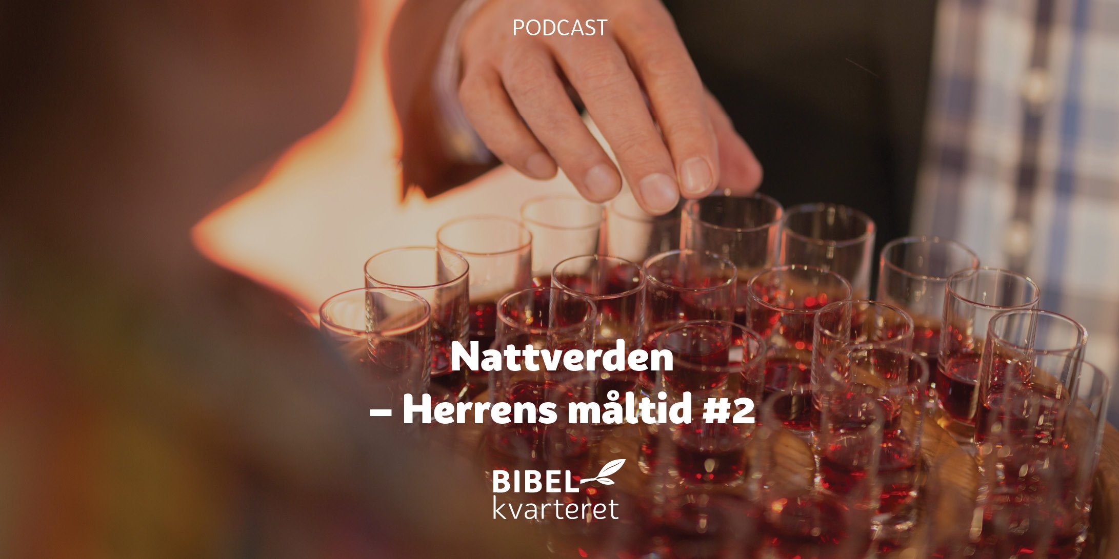 nattverden 2 - tittelbilde