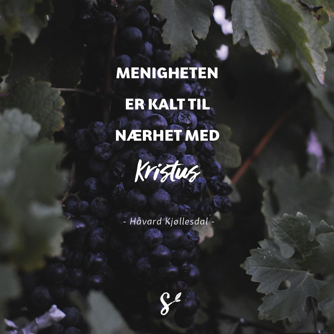 enok - sitatbilde