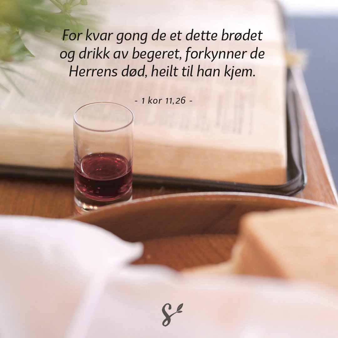 nattverden 2 - sitatbilde