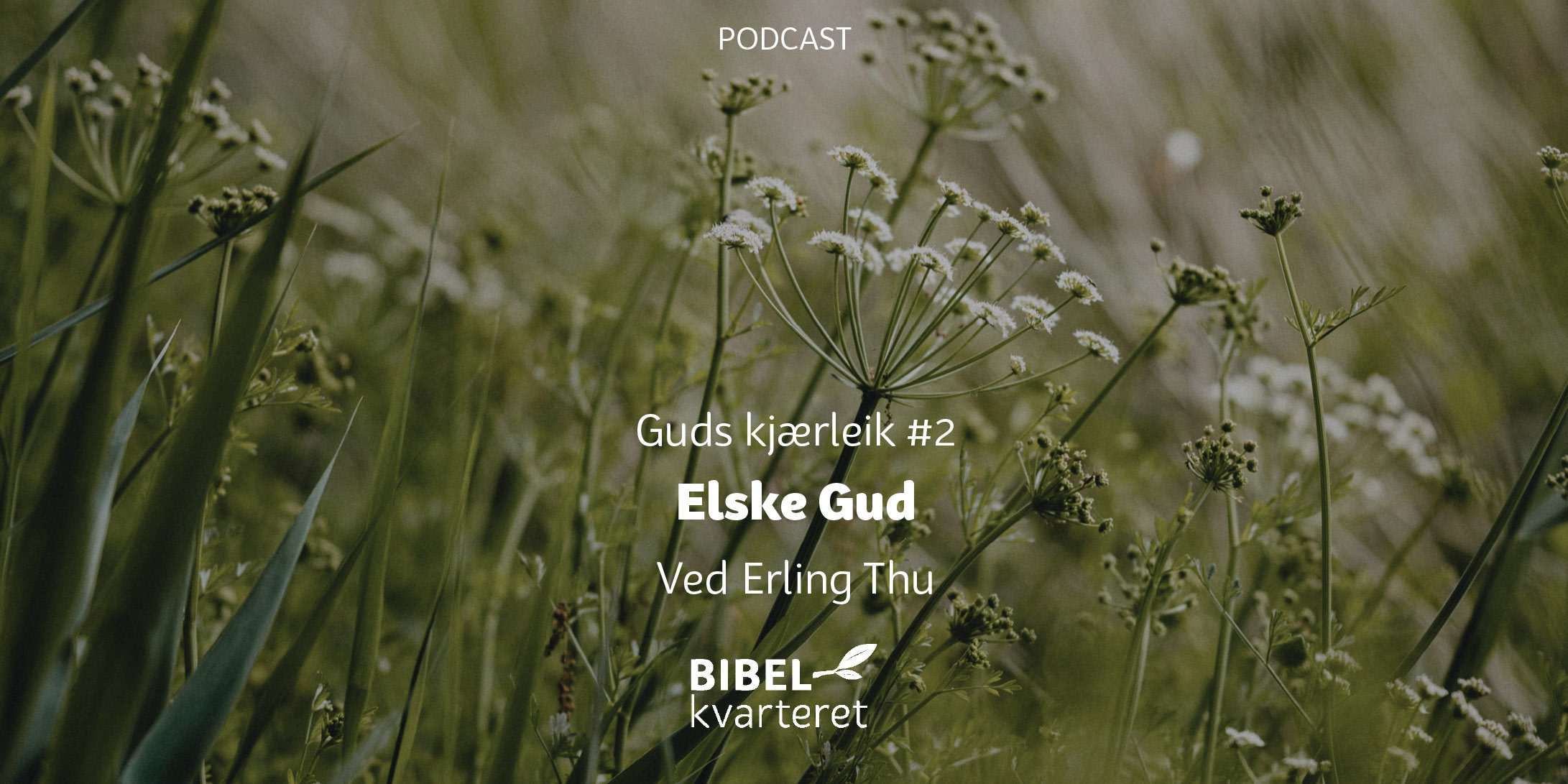 guds kjærleik 2 - tittelbilde