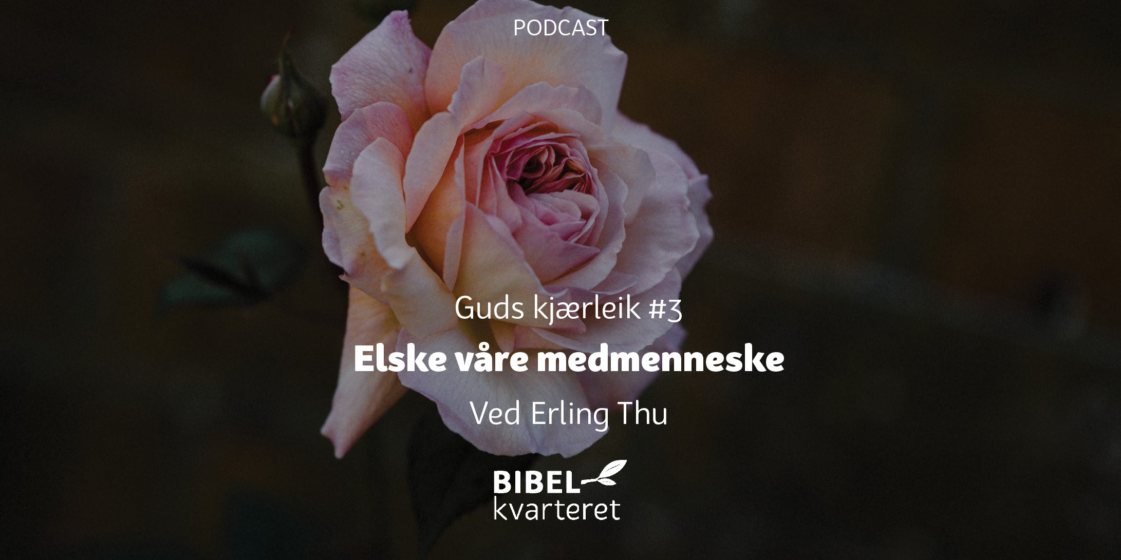 guds kjærleik 3 - tittelbilde