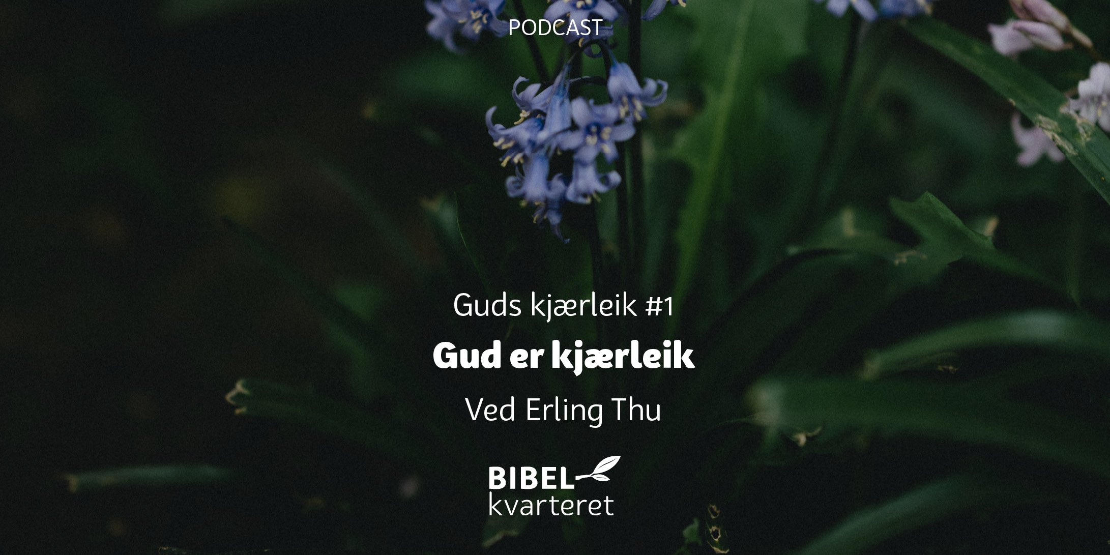 Guds kjærleik 1 - tittelbilde
