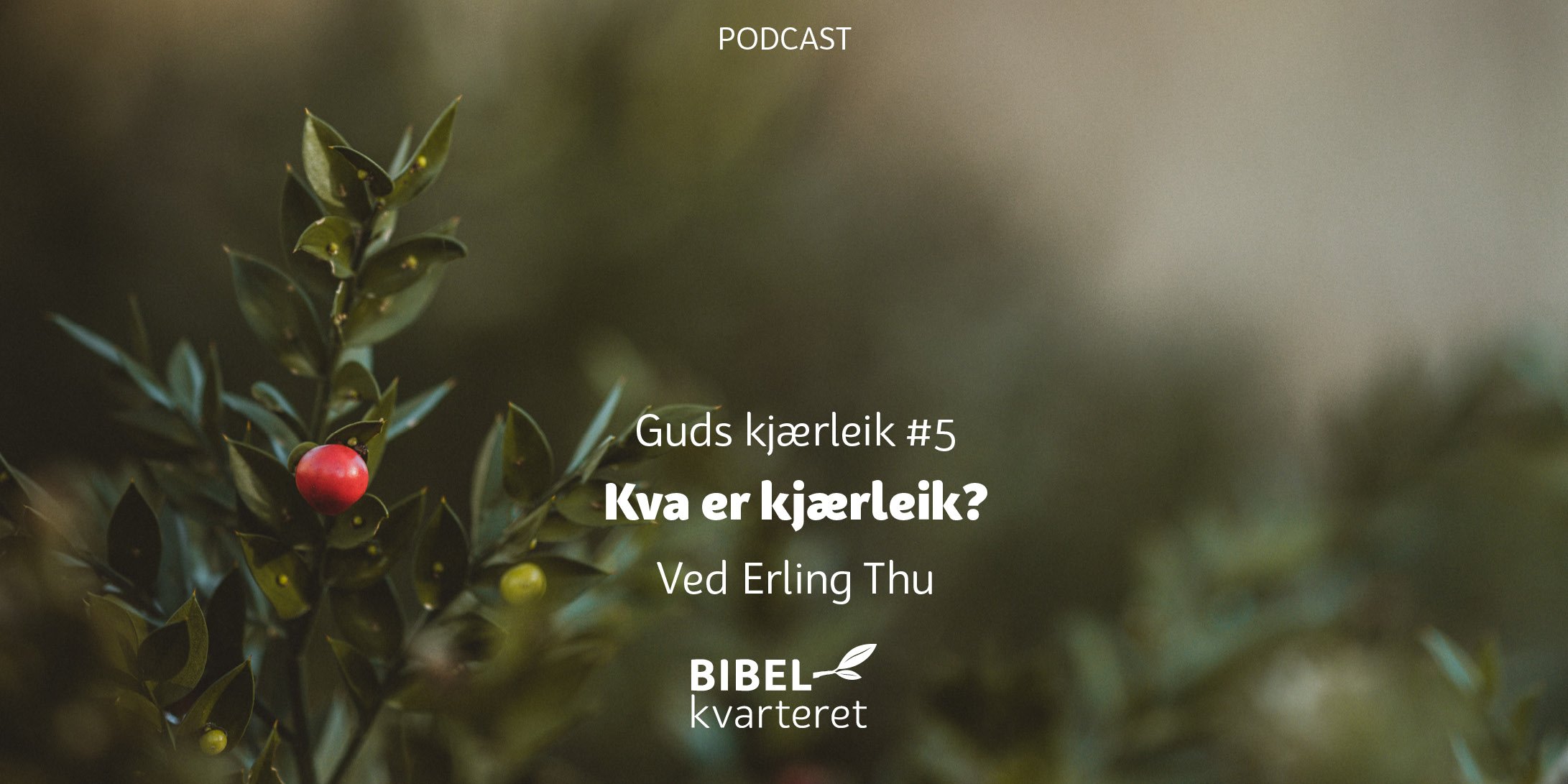 guds kjærleik 5 - tittelbilde