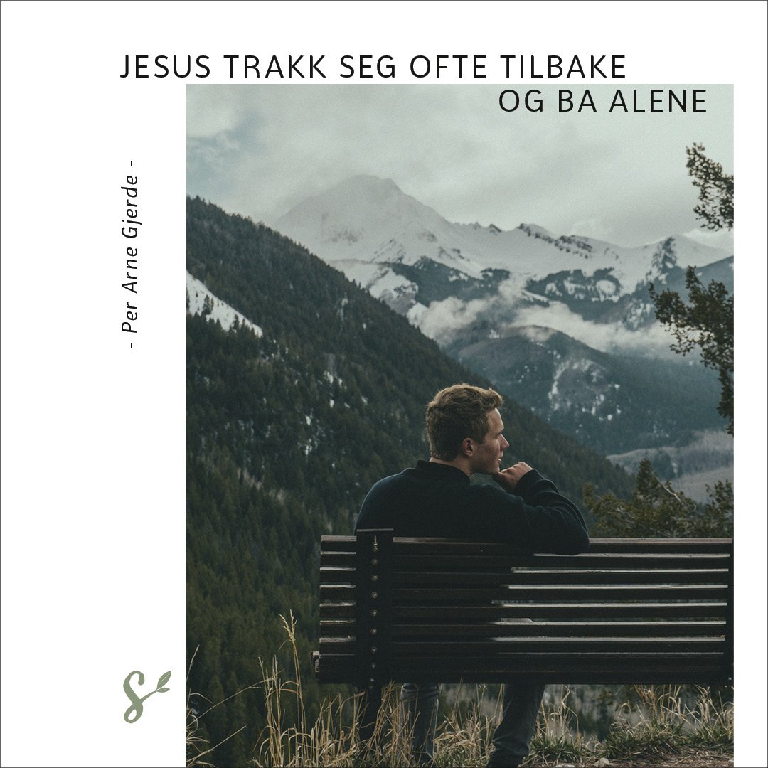 SitatBilde-til-slikKanJegBeI15Minutter-del1