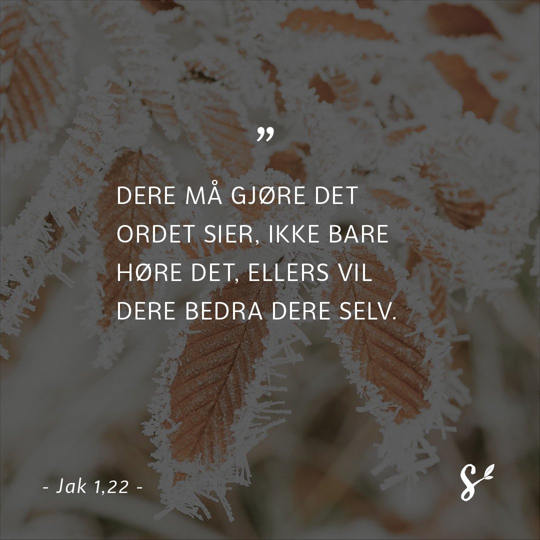 SitatBilde-til-gjorDetEnkeltDEL2