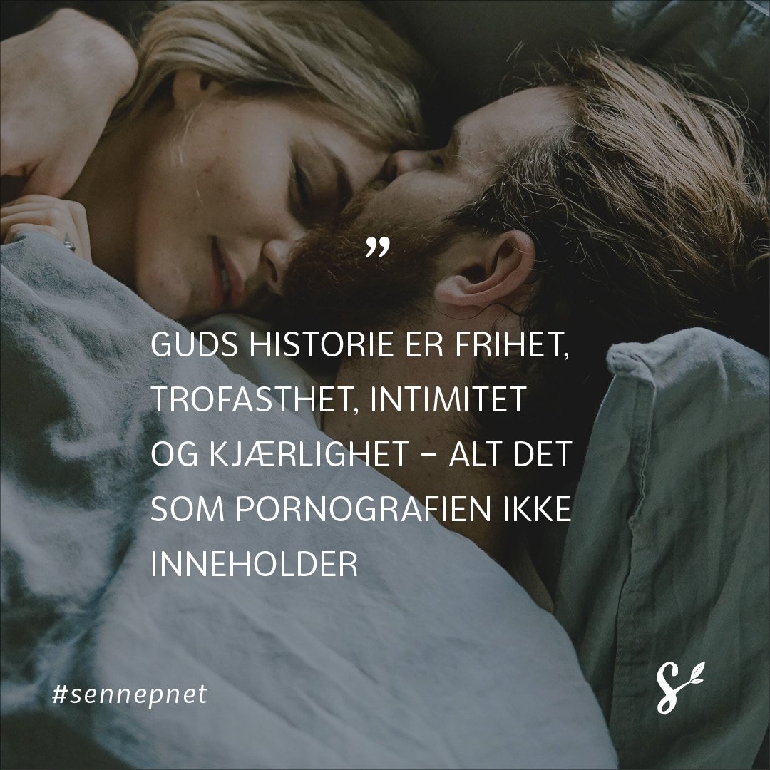 SitatBilde-til-pornoHandlerOmATa-KjarlighetOmAGi