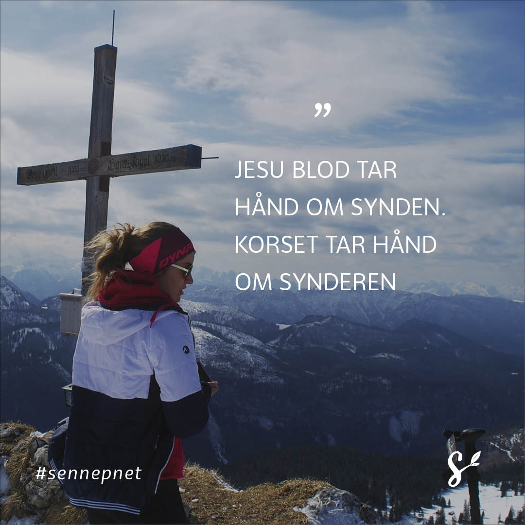 SitatBilder-til-femGlemteSannheterOmKorset