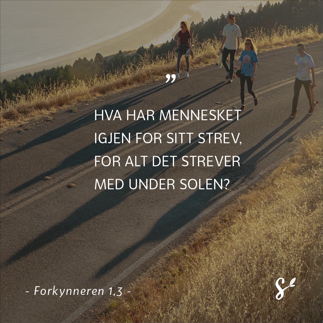 SitatBilde-til-bokaSomJakterPaMeningenMedLivet-02