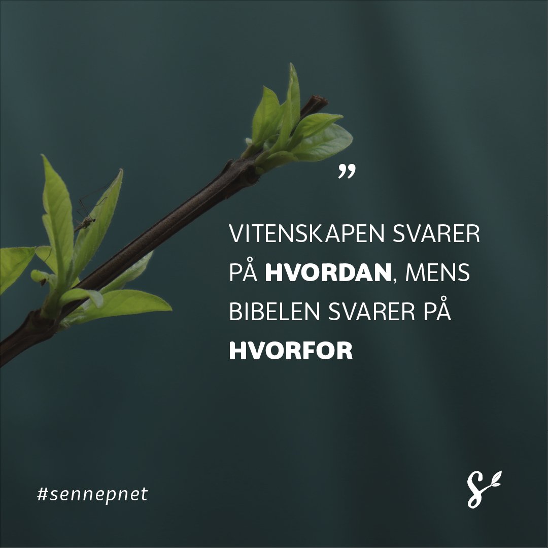 SitatBilde-til-senneppodden51