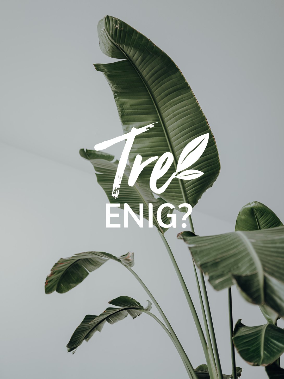 tre-enig-bilde