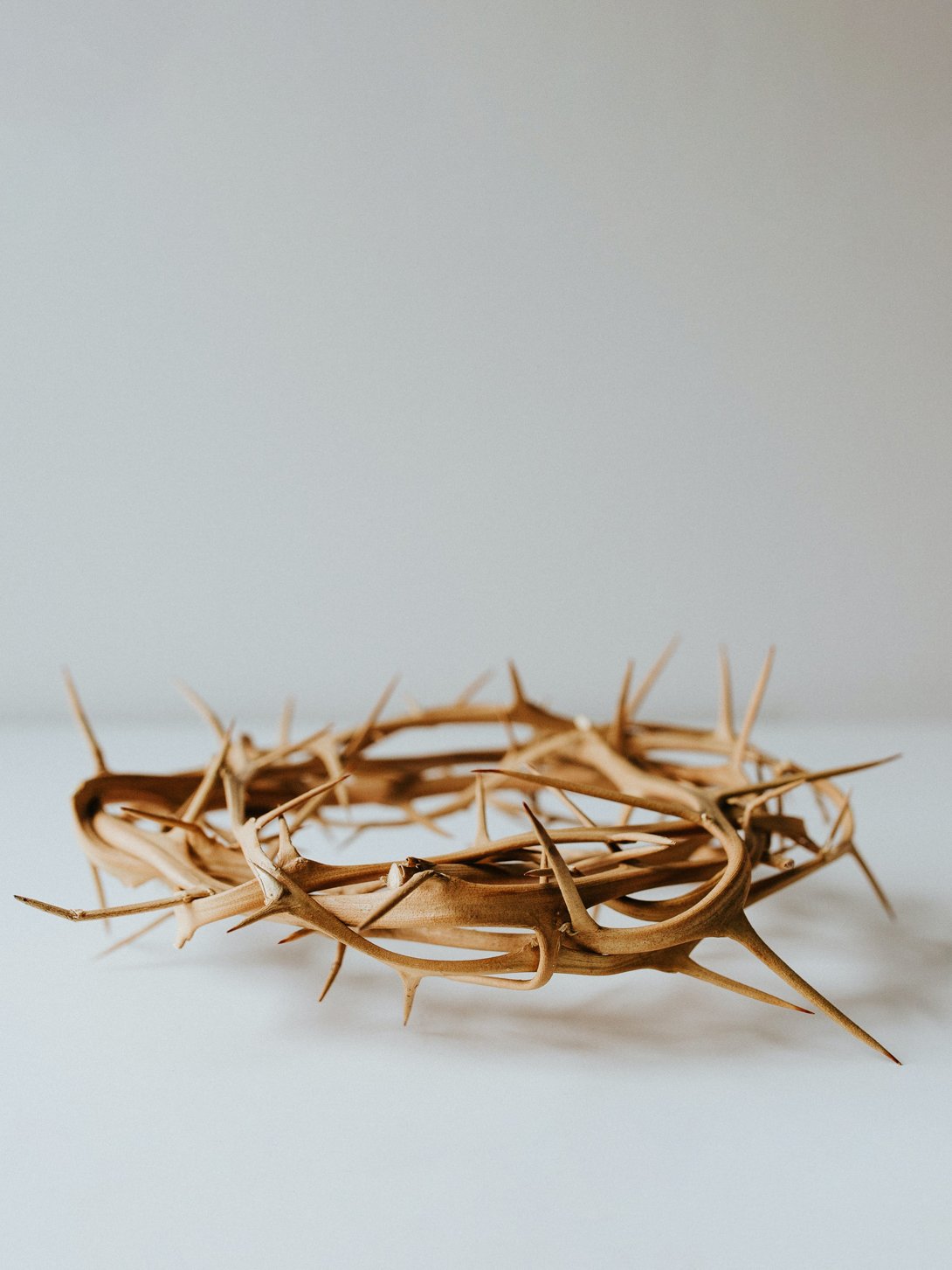 christi-marcheschi-fQZOhgyMktg-unsplash copy